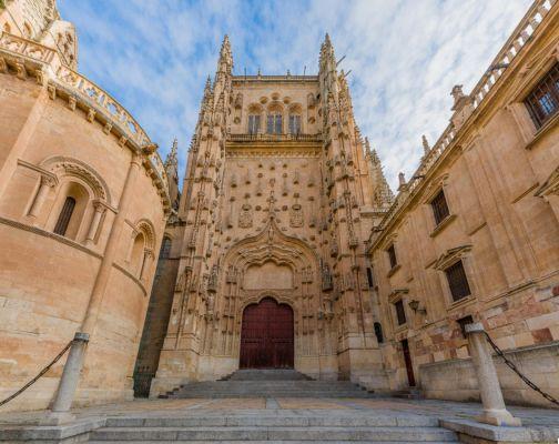 La Catedral Nueva y Vieja: Historia en Piedra